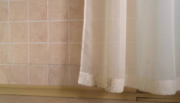Best Asbestos and Lead Testing During Mold Inspection  in Mather, CA