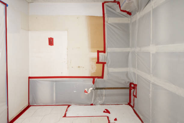 Mather, CA Mold Removal Company